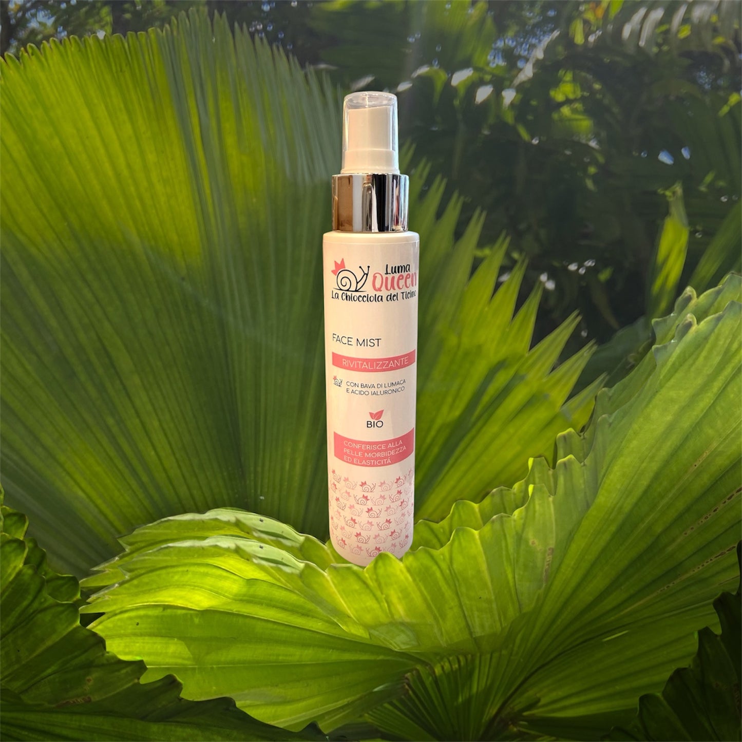 Face Mist