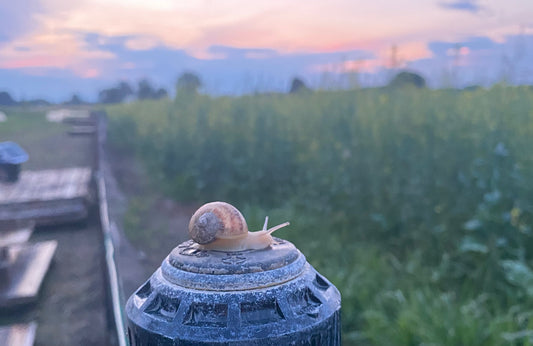 Benvenuti nel nostro mondo